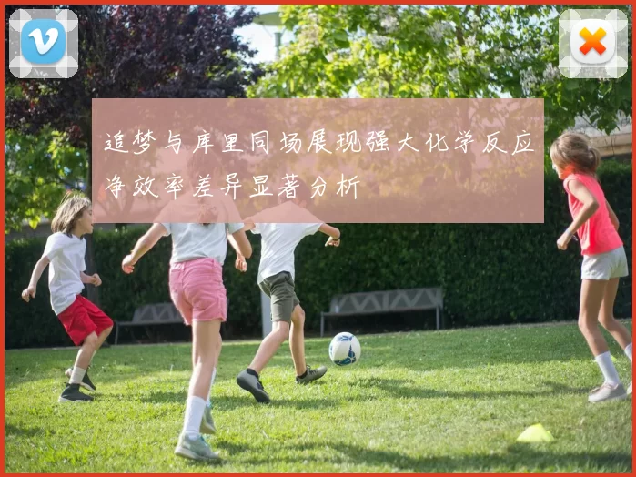 追梦与库里同场展现强大化学反应净效率差异显著分析