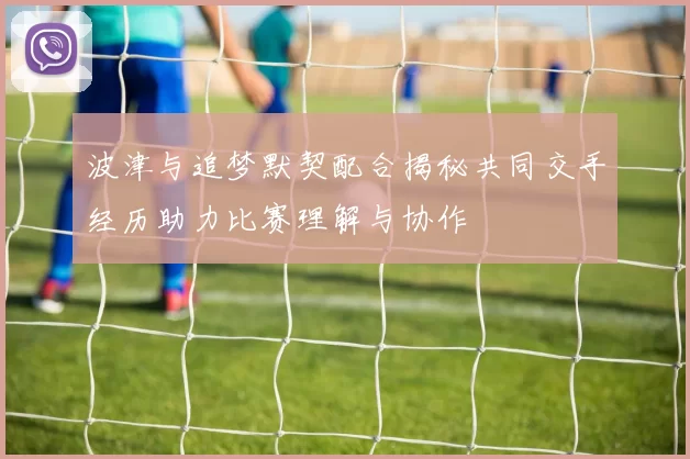 波津与追梦默契配合揭秘共同交手经历助力比赛理解与协作